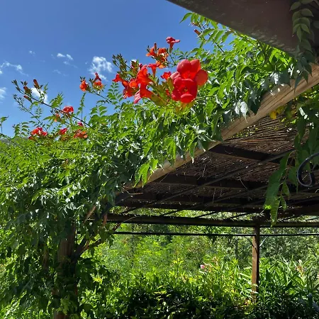 Guest house Ca Di Brigaschi Andagna